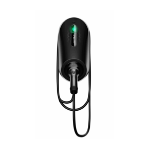 Zappi Glo